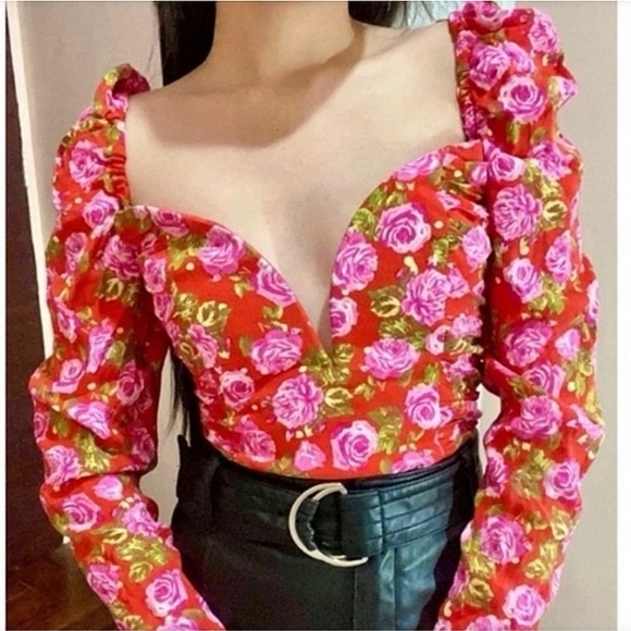 Zara Rose Print Red Crop Corset Sweatheart Cottagecore Whimsical Romantic Top - Picture 2 of 12